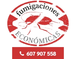 www.fumigacioneseconomicas.es