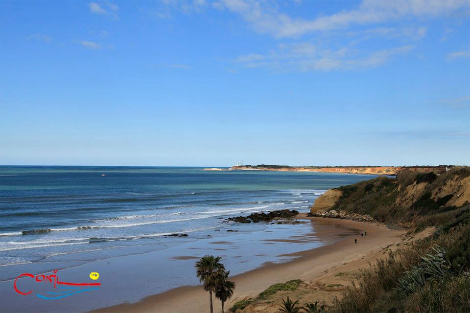 Playas de Conil  Guía de Cádiz