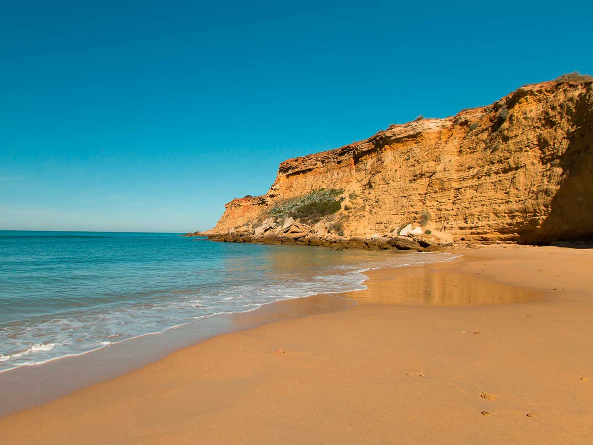 Playas de Conil  Guía de Cádiz