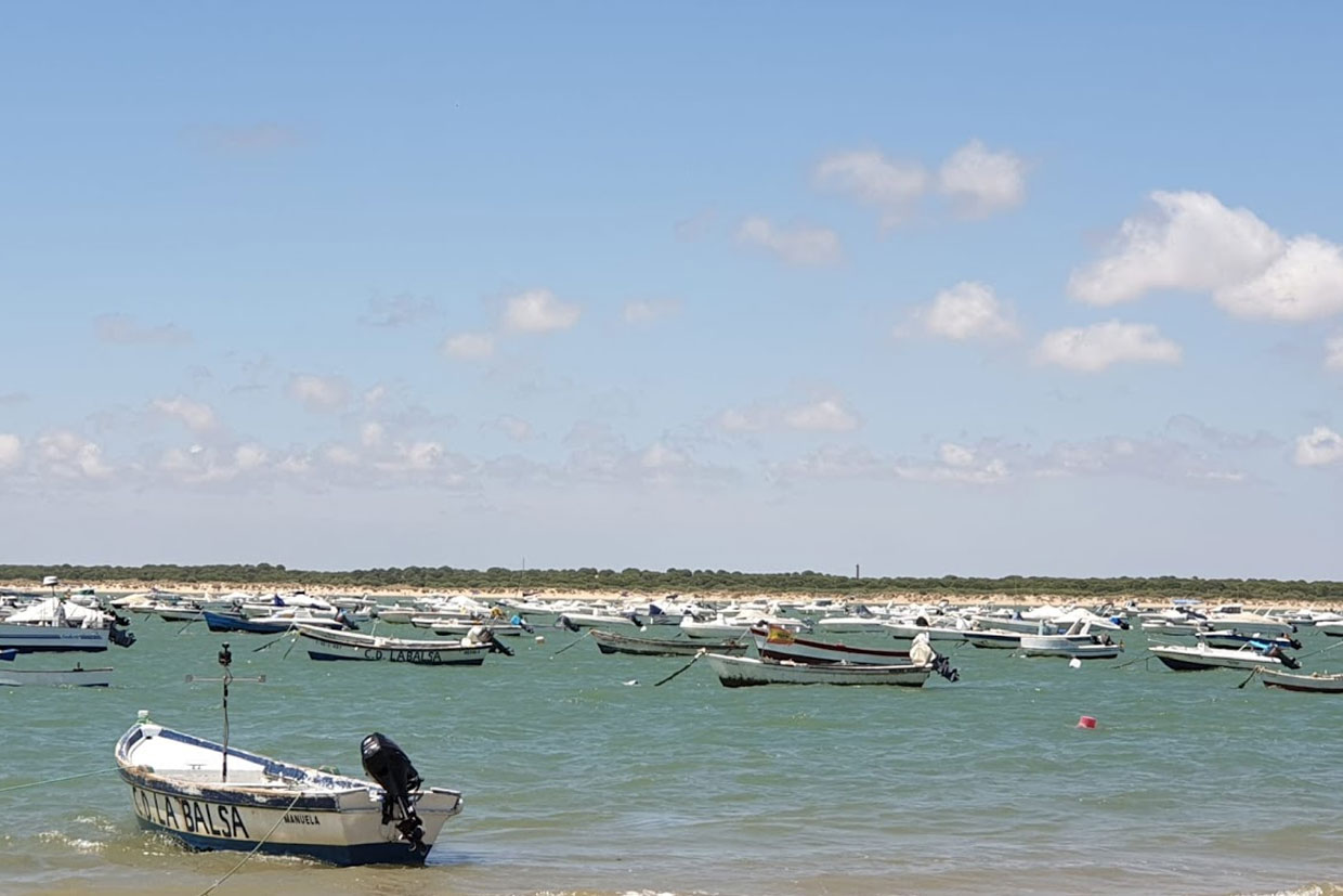 Anestésico Karu Arqueólogo Playa Las Piletas. Sanlúcar | Guía de Cádiz