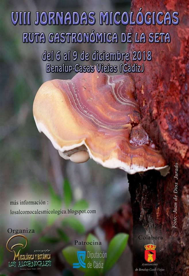 sites/default/files/2018/agenda/gastronomia/jornadas-micologicas-benalup.jpg