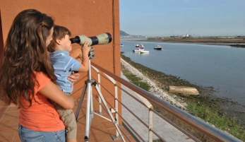 MIRADOR ORNITOLÓGICO DE PALMONES