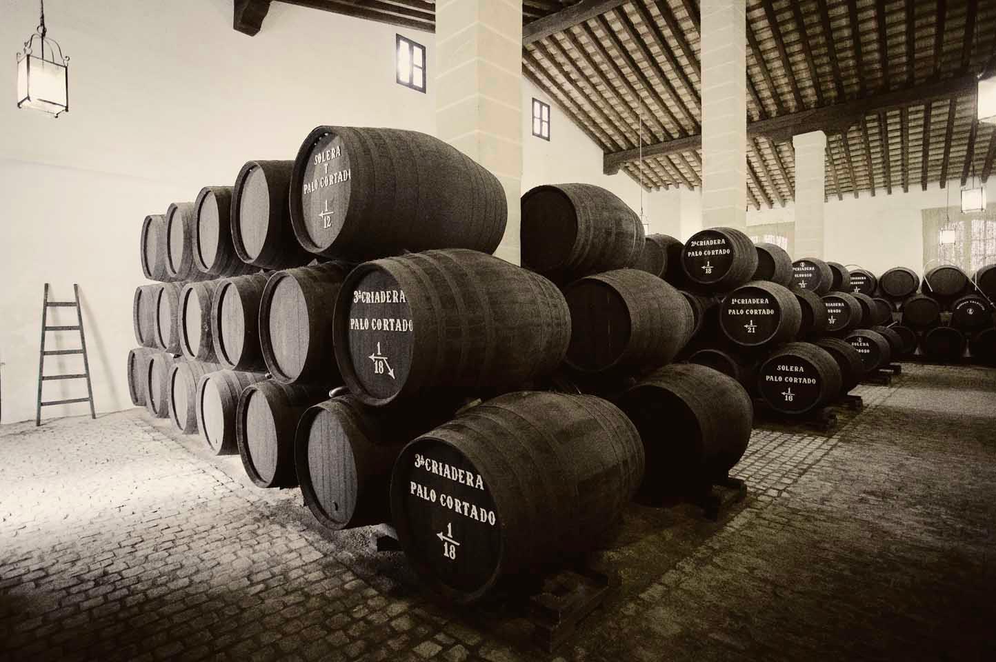 BODEGAS TRADICIÓN