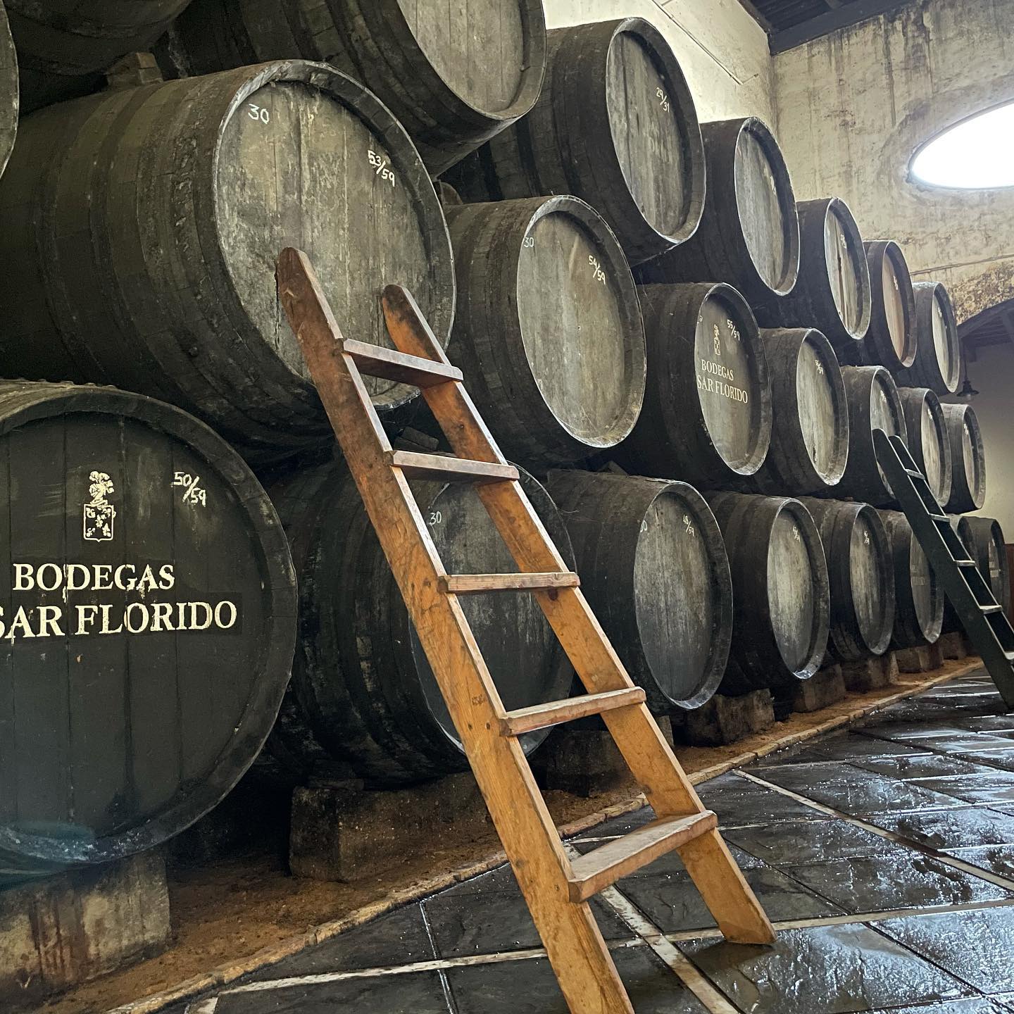 BODEGA CÉSAR FLORIDO