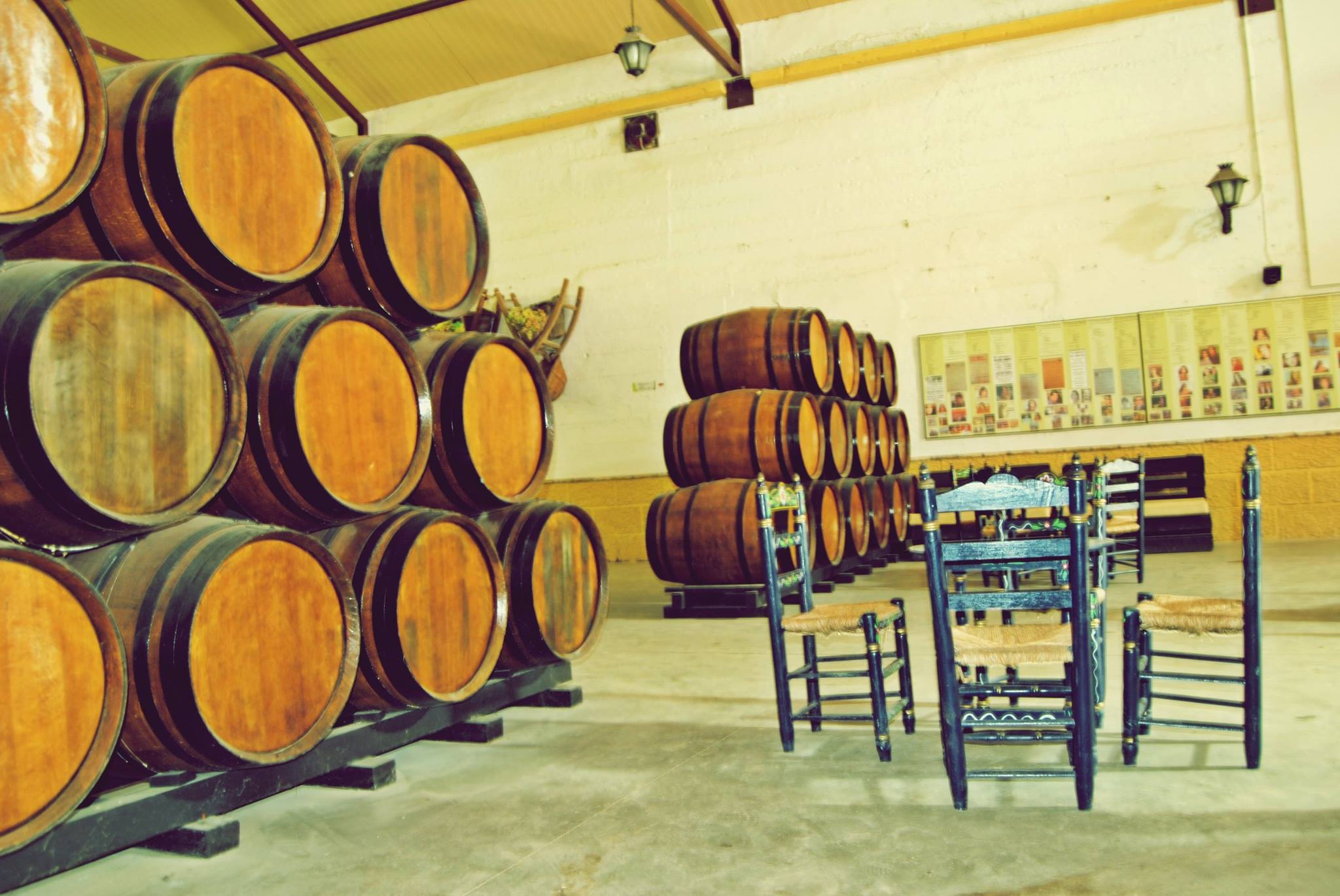 BODEGA COOPERATIVA CATÓLICO AGRÍCOLA