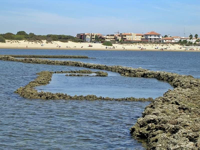 CORRALES DE PESCA DE ROTA