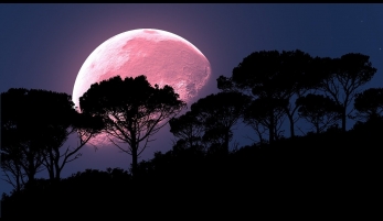 Horario, cuándo y dónde ver la superluna rosa