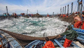 XXVI RUTA GASTRONÓMICA DEL ATÚN DE CONIL 2023