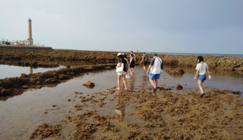 CORRALES DE PESCA DE CHIPIONA