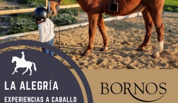 EXPERIENCIAS A CABALLO