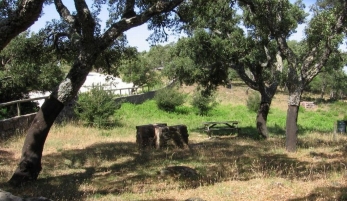 ÁREA RECREATIVA EL PICACHO