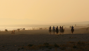 PASEOS A CABALLO POR LAS PLAYAS DE BARBATE