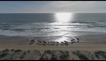 RUTA A CABALLO POR LA PLAYA