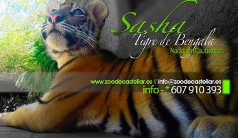 ZOO DE CASTELLAR