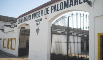 COOPERATIVA AGRÍCOLA VIRGEN DE PALOMARES