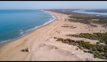 BÚNKERS EN LA PLAYA CAMPOSOTO 