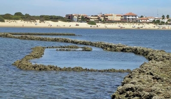 CORRALES DE PESCA DE ROTA