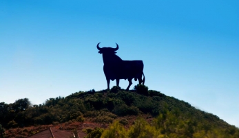 TOROS DE OSBORNE