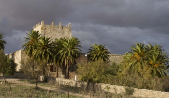 CASTILLO DE GIGONZA