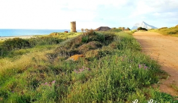 TORRE ALMENARA - TORRES VIGÍAS