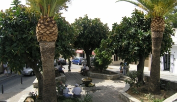 RUTA DE LAS FUENTES DE BENALUP - CASAS VIEJAS