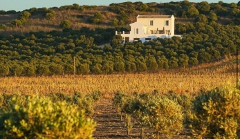 CENTRO DE INTERPRETACIÓN DEL OLIVAR. "MARE OLEUM"