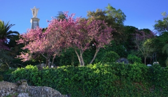 PEÑÓN DEL SAGRADO CORAZÓN DE JESÚS