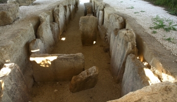 CAMPO DOLMÉNICO DE ALBERITE