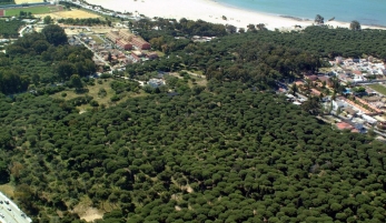 DUNAS DE SAN ANTÓN