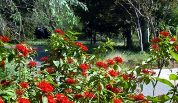 PARQUE MARÍA CRISTINA