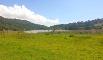 EMBALSE DE CHARCO REDONDO