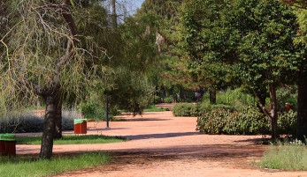 JARDÍN BOTÁNICO DE LOS BARRIOS