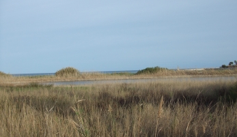 PARAJE NATURAL ESTUARIO DEL RIO GUADIARO