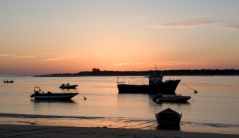 PARQUE NATURAL DE DOÑANA