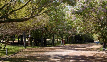 PARQUE DE LA TOYA