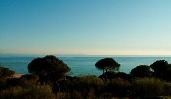 PARQUE NATURAL DE LA BREÑA Y MARISMAS DEL BARBATE