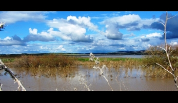 ANTIGUA LAGUNA DE LA JANDA