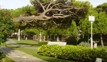 PARQUE ATLÁNTICO