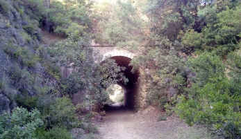 RUTA RIBERA DEL EMBALSE DE BORNOS