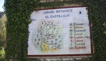 JARDÍN BOTÁNICO EL CASTILLEJO