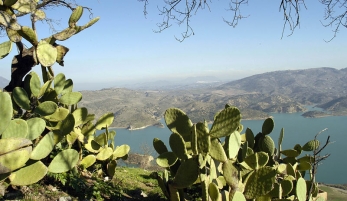 PARQUE NATURAL SIERRA DE GRAZALEMA