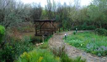 PASEAR POR EL JARDÍN BOTÁNICO EL ALJIBE