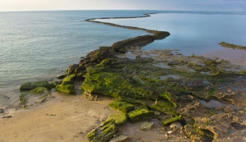 CORRALES DE PESCA DE CHIPIONA