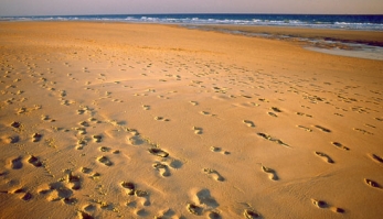 La mar de Cádiz