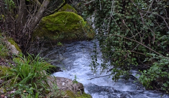 SENDERO DEL RÍO MAJACEITE