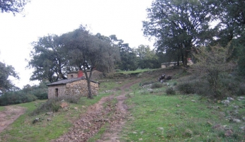 SENDERO TRAVESÍA DEL ALJIBE