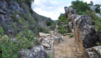 SENDERO RUTA DE LOS MOLINOS