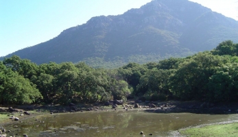 SENDERO SUBIDA AL PICACHO