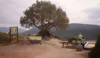 MIRADOR DEL TAJO DEL ÁGUILA