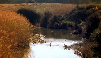 SENDERO RÍO PÍCARO